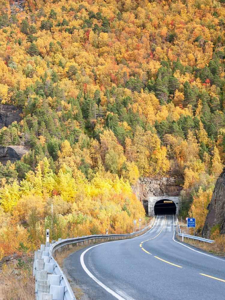 Norwegian Road Tunnel in Autumn - Yellow Leaves