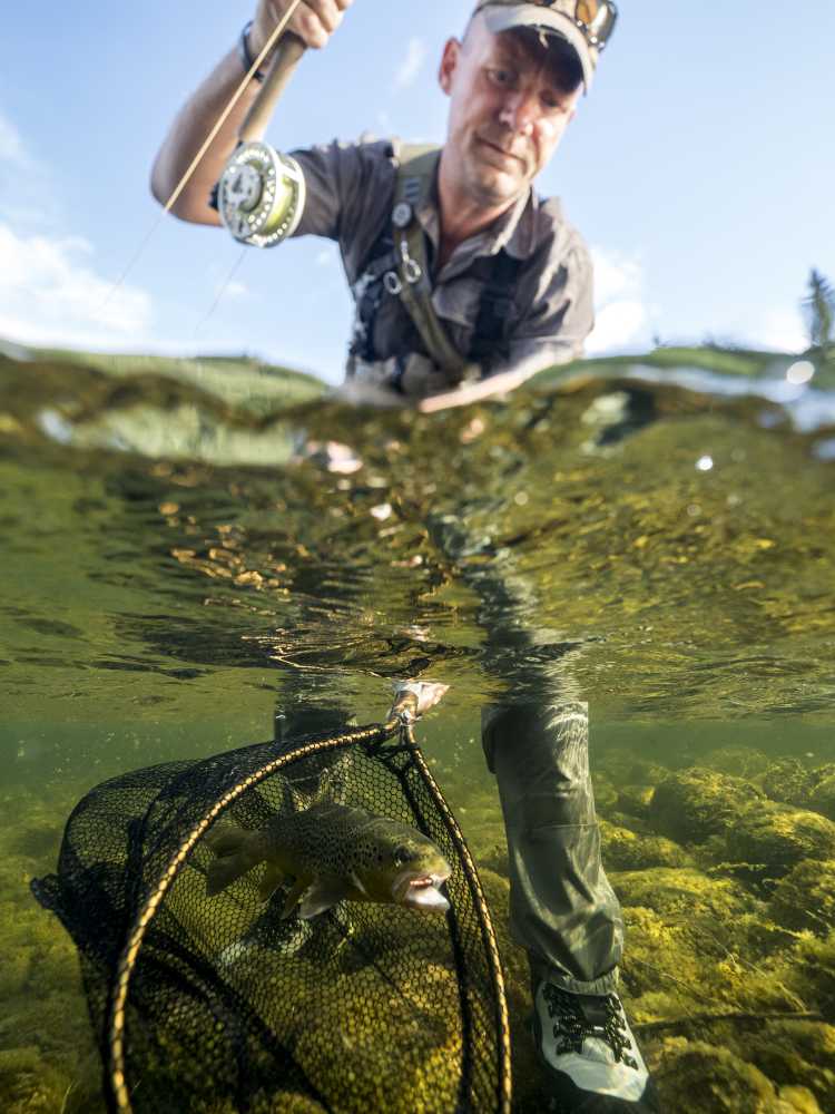 Split-view image of a person using a landing net for fishing, half above and half underwater.