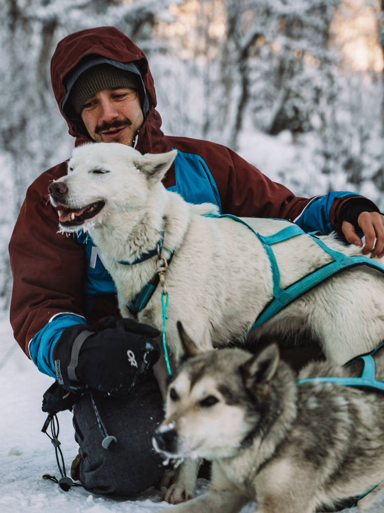 Jojo surrounded by Haukeli Huskies, forming a heartwarming winter companionship.