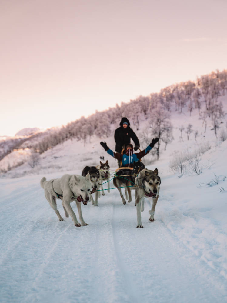Dynamic image of huskies in full stride, pulling a sled on the Haukeli Husky Tour.