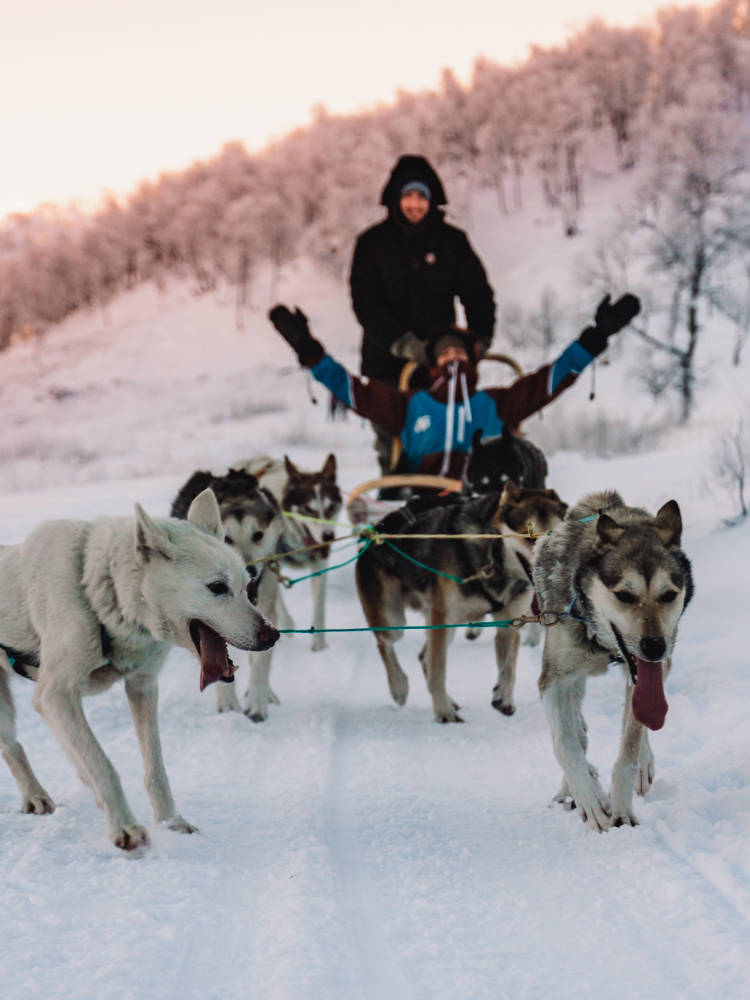 Sled adventure in the snow as huskies power through the Haukeli Husky Tour.