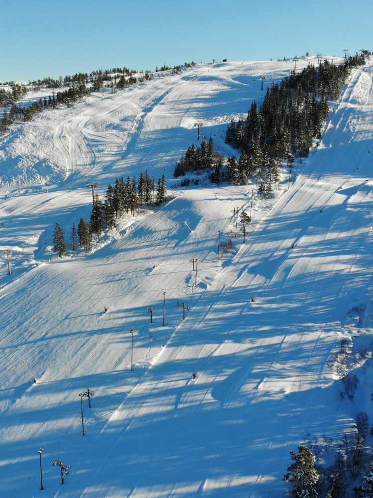 Aerial view of Gautefall ski resort with a slope running down and pine trees in the center under a blue sky